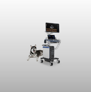 Mindray healthcare innovation